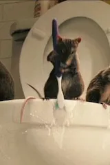 Image of Enchanted Rats