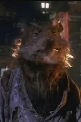 Image of Splinter